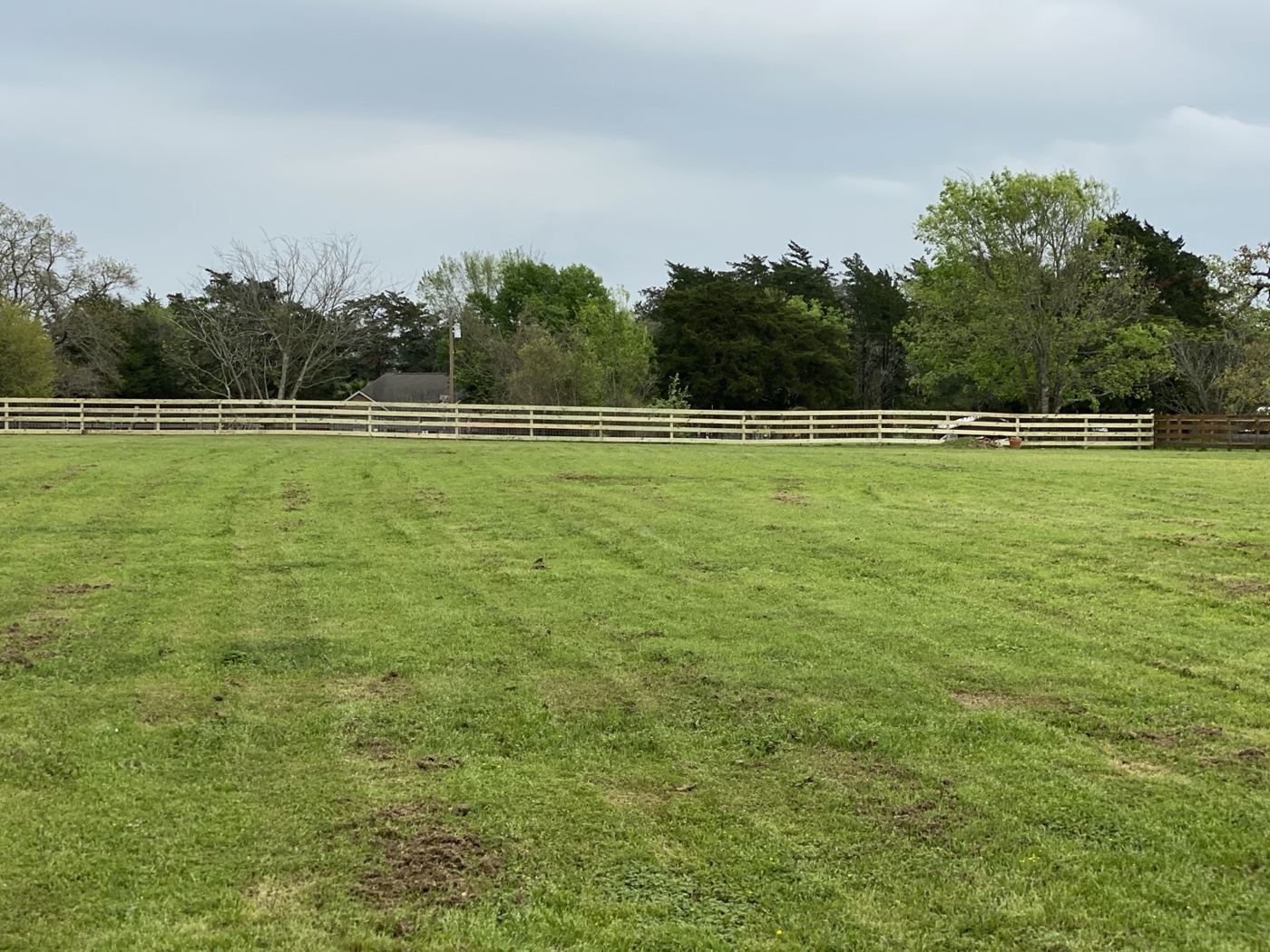 Wood ranch rail fence installation along an open pasture