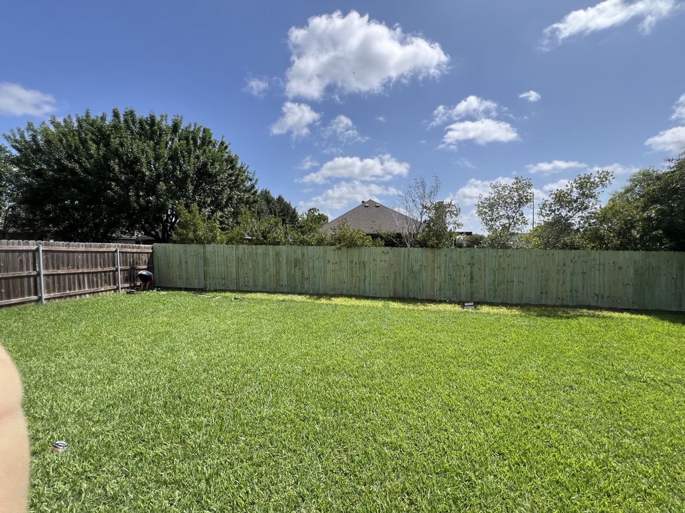 Wood privacy fence around a green backyard lawn