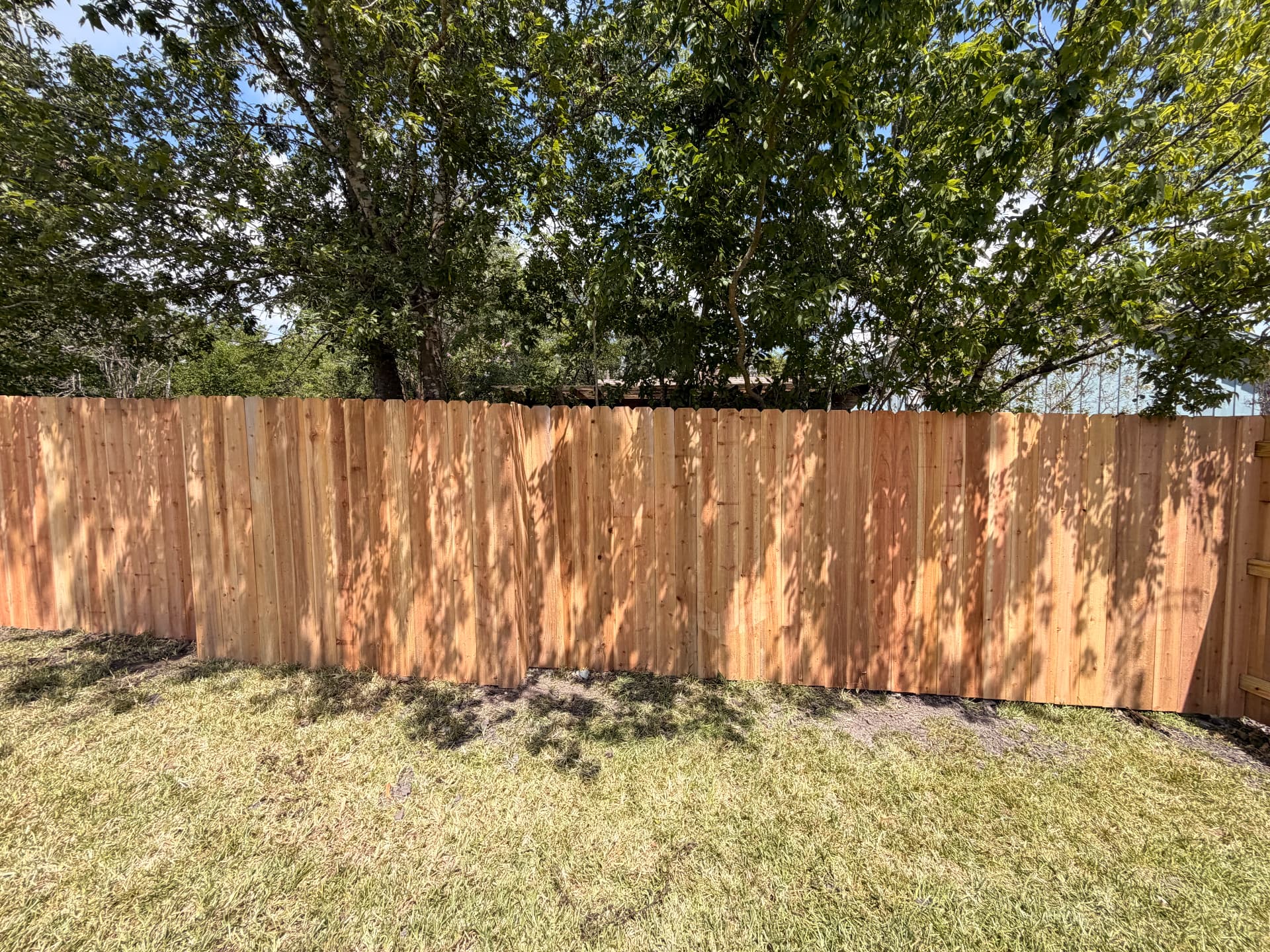 Cedar privacy fence run through a shaded backyard in Bryan, Texas