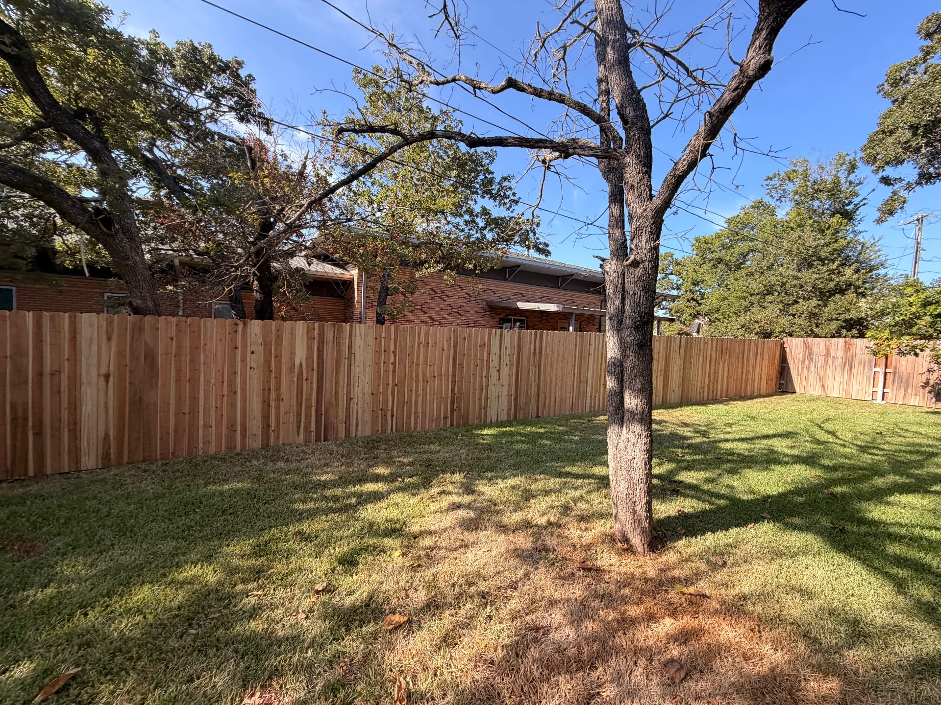 Wide view of a completed cedar privacy fence along a Bryan TX back property line